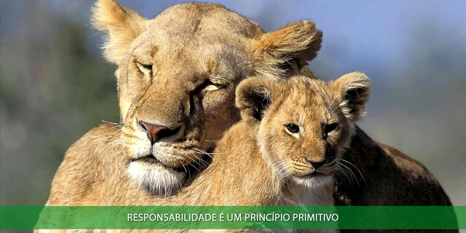 Figura 3 - RESPONSABILIDADE PROFISSIONAL. UM VALOR INDISPENSÁVEL PARA O SUCESSO